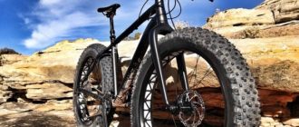 Fatbike - what is it and what is it for, how to choose