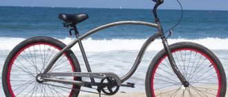 Recreational bicycles - features, how to choose