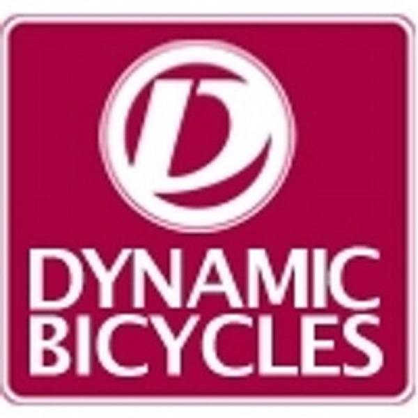 Dynamic Bicycles