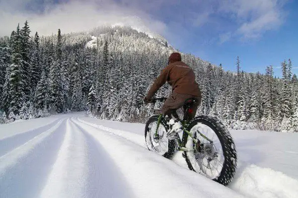 Fatbike in the snow