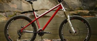 Hardtail bikes: what they are, pros and cons