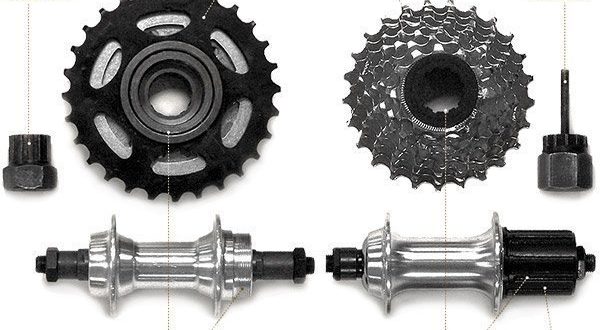 What is the difference between a cassette and a ratchet on a bicycle