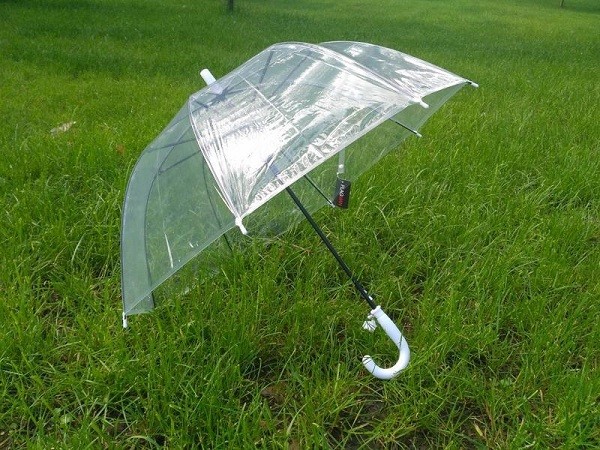 Dome umbrella