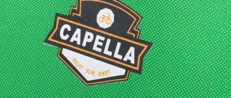 Children's bicycles Capella - pros and cons, tips for choosing
