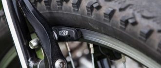 Why the brakes on a bicycle squeak when braking