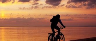 Bicycle tourism - what it is and why it is attractive