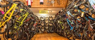 When it's best to buy a bicycle at a discount - useful recommendations
