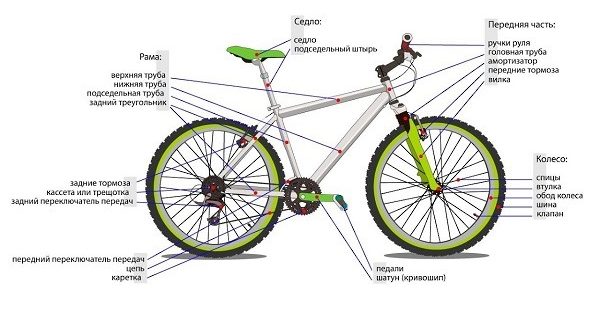 How a bicycle is built and what it consists of - scheme with names of parts