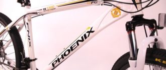 Phoenix bike - advantages and disadvantages, tips for choosing