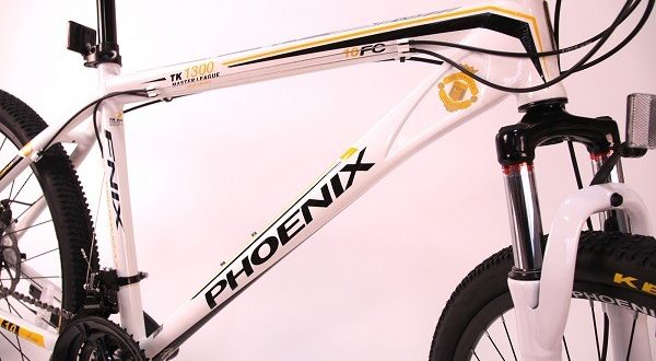 Phoenix bike - advantages and disadvantages, tips for choosing