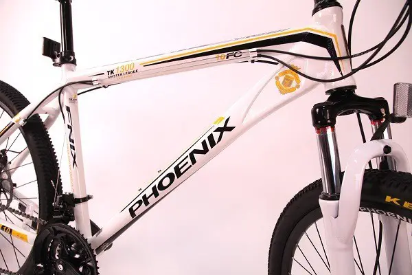 Phoenix bicycle