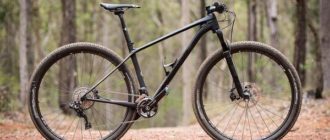 Bike-Niner - what it is, features, is it worth buying