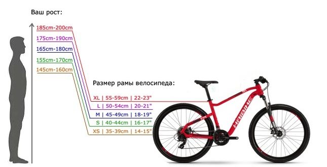 Bicycle frame size by height - how to determine and choose, table