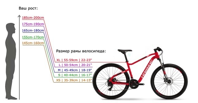bike frame size by height